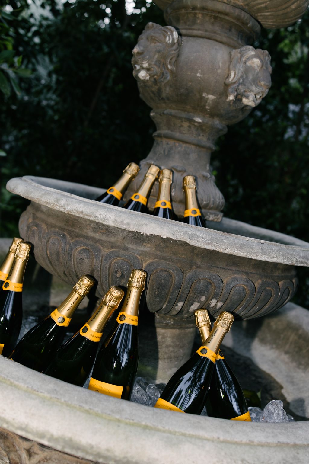 The Champagne