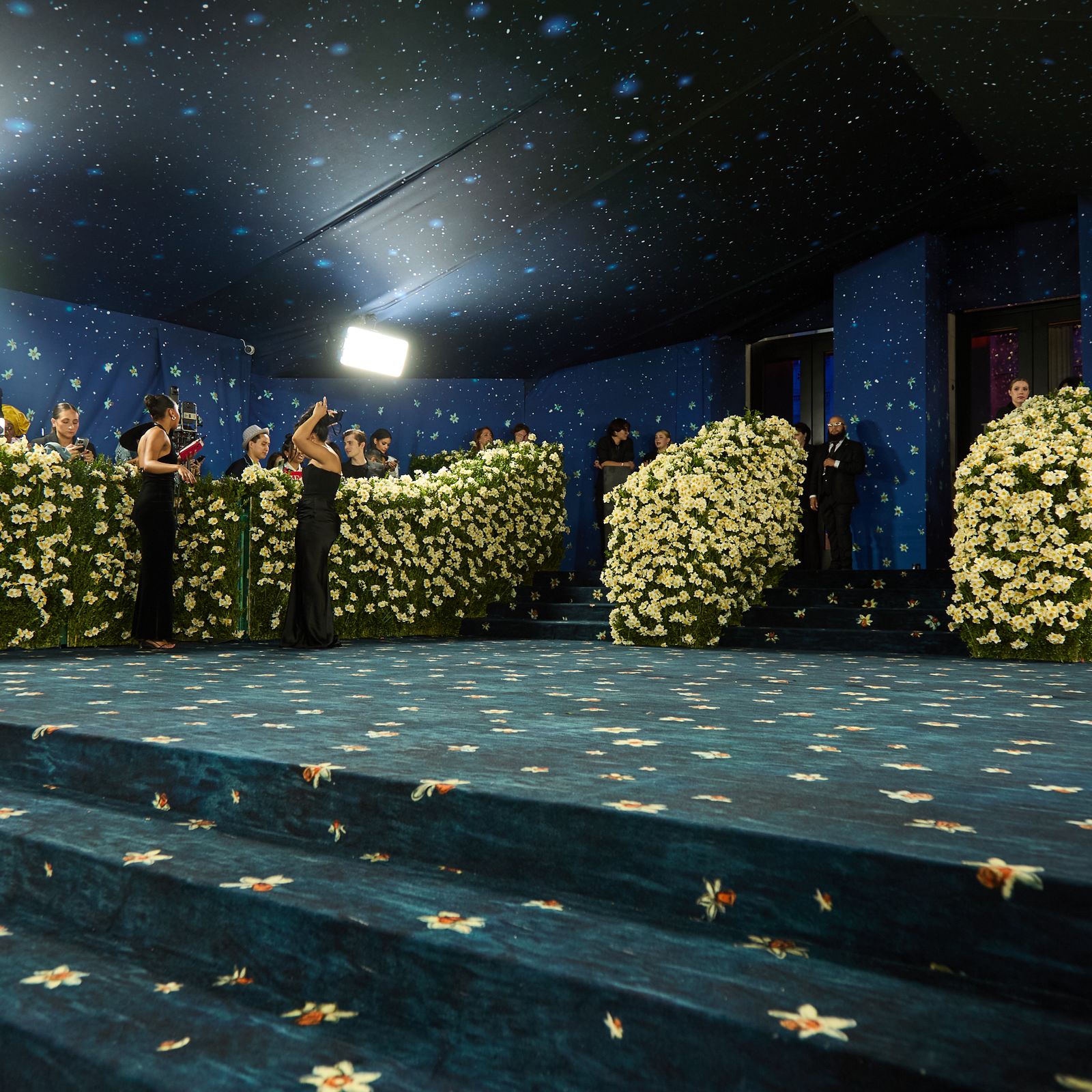 The Deeper Meaning Behind the 2025 Met Gala Carpet