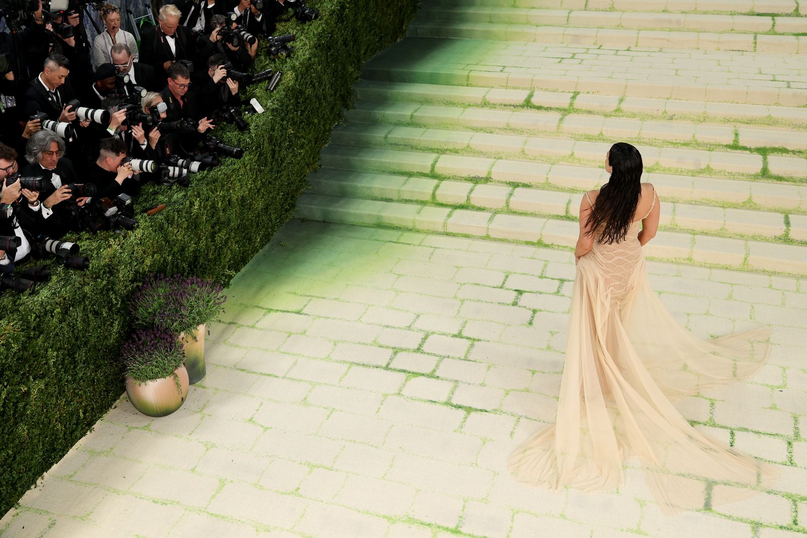 Image may contain Path Grass Plant Adult Person Wedding Floor and Electronics