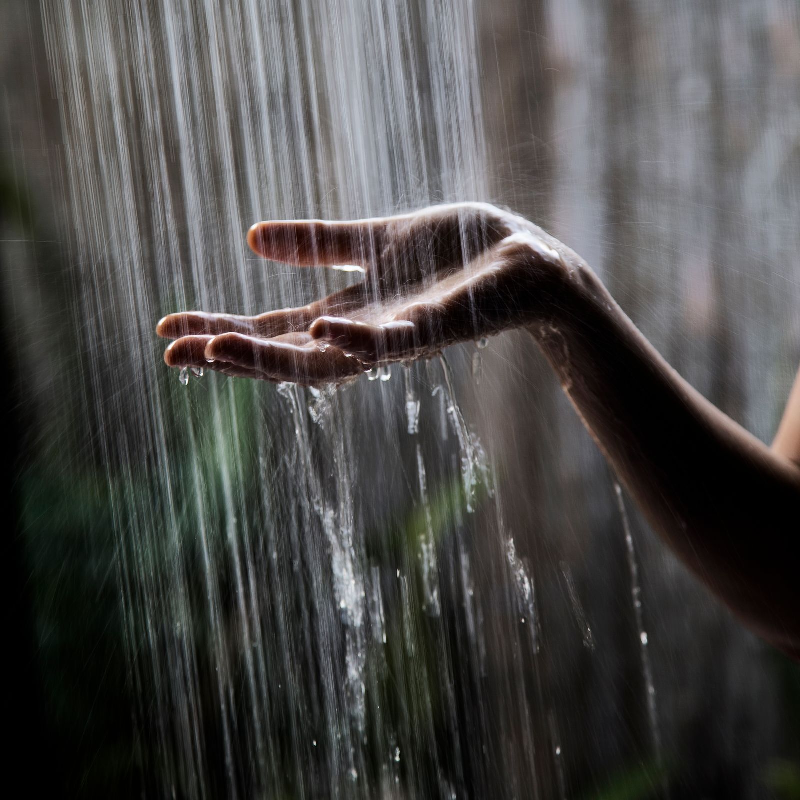 Why is Everyone Showering in The Dark?