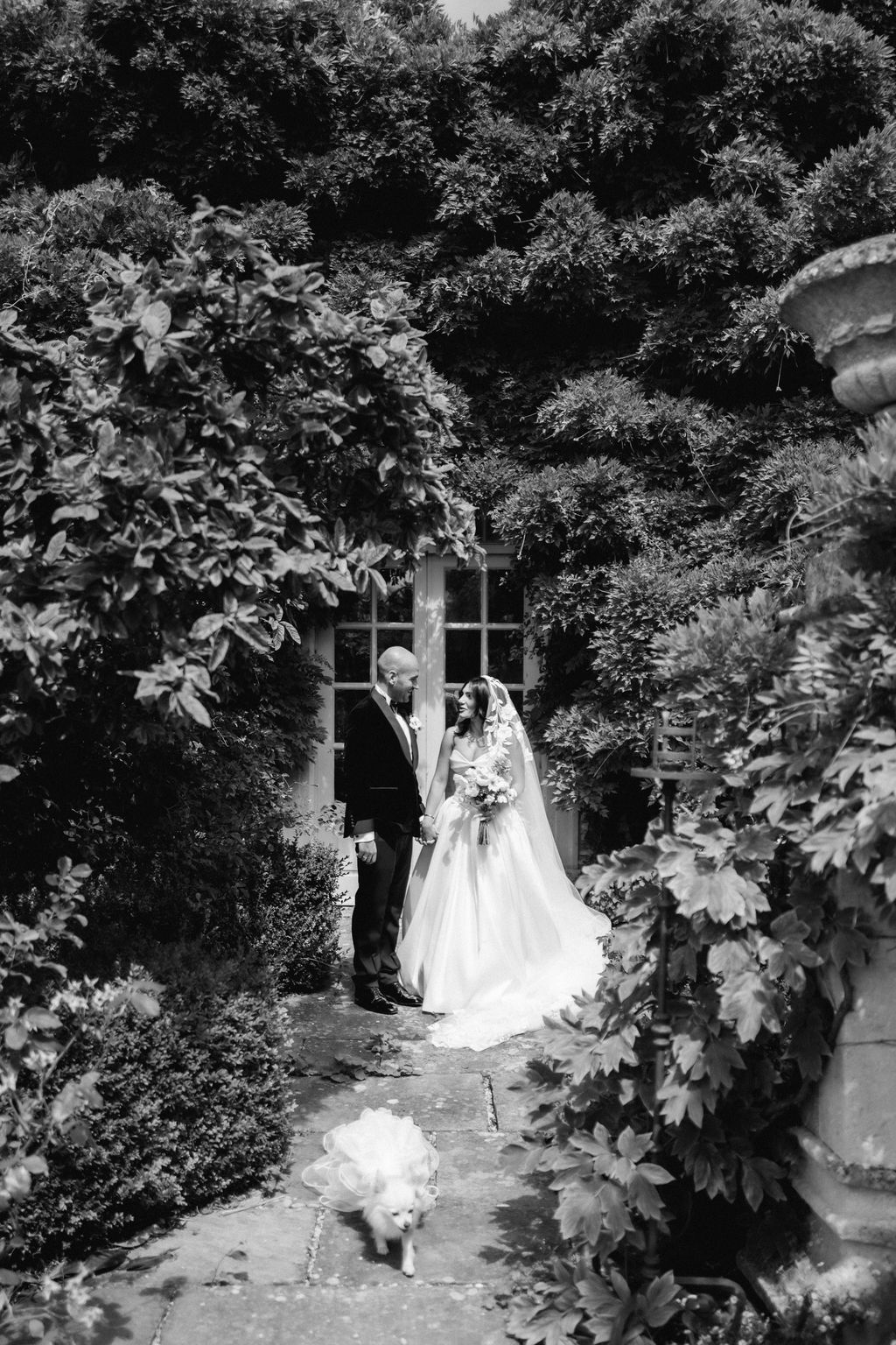 Photo The Shannons