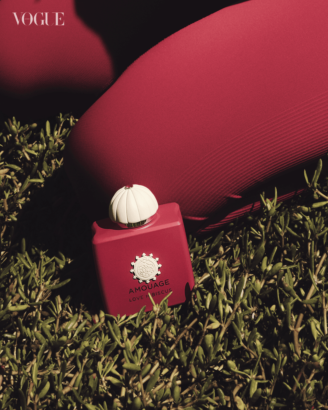 Love Hibiscus Fragrance Amouage.